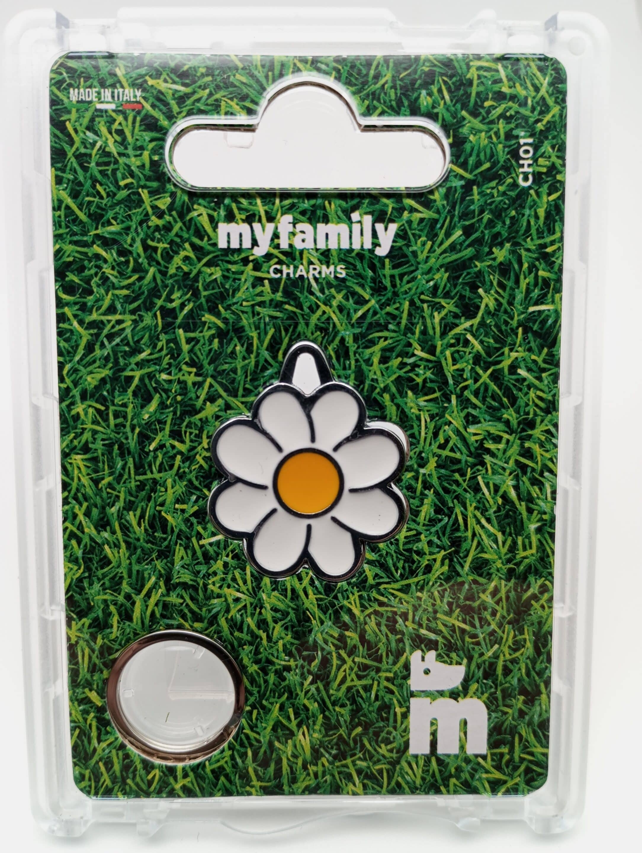 IMG 20240515 110840 scaled